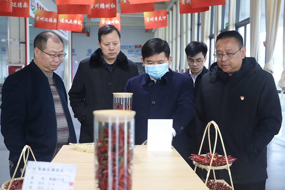 【农投动态】| 副市长李勰到播州国际辣椒产业园调研